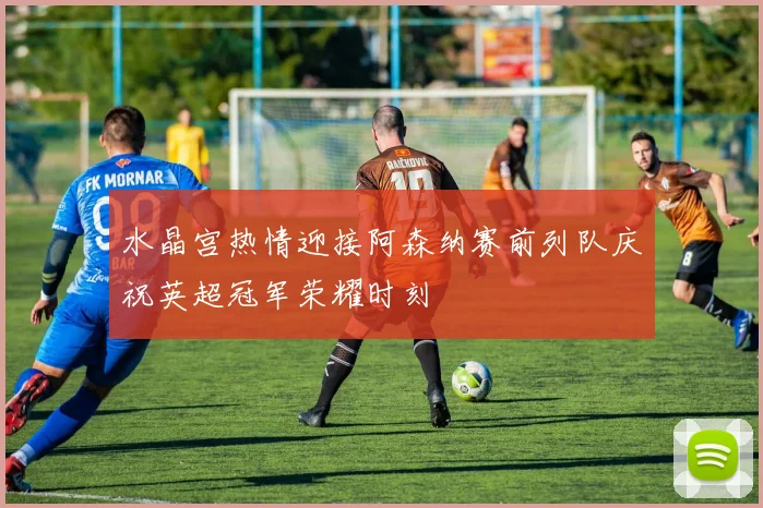 水晶宫热情迎接阿森纳赛前列队庆祝英超冠军荣耀时刻